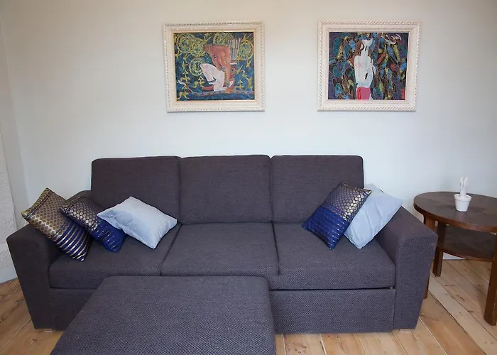 公寓 Aia Guest 派尔努