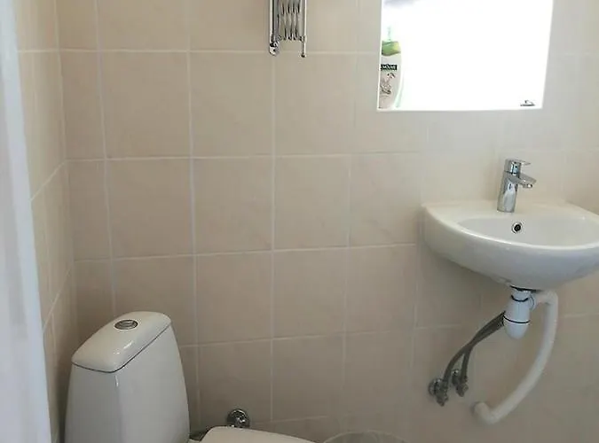 Aia Guest * 派尔努