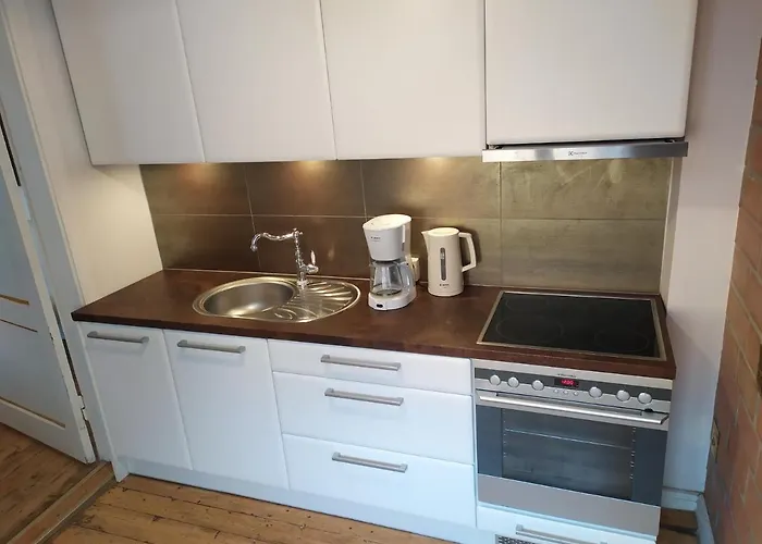 公寓 Aia Guest 派尔努